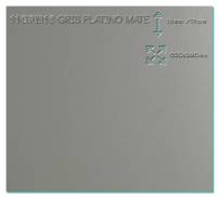 11GPM16 Gris platino mate 16mm 244x122